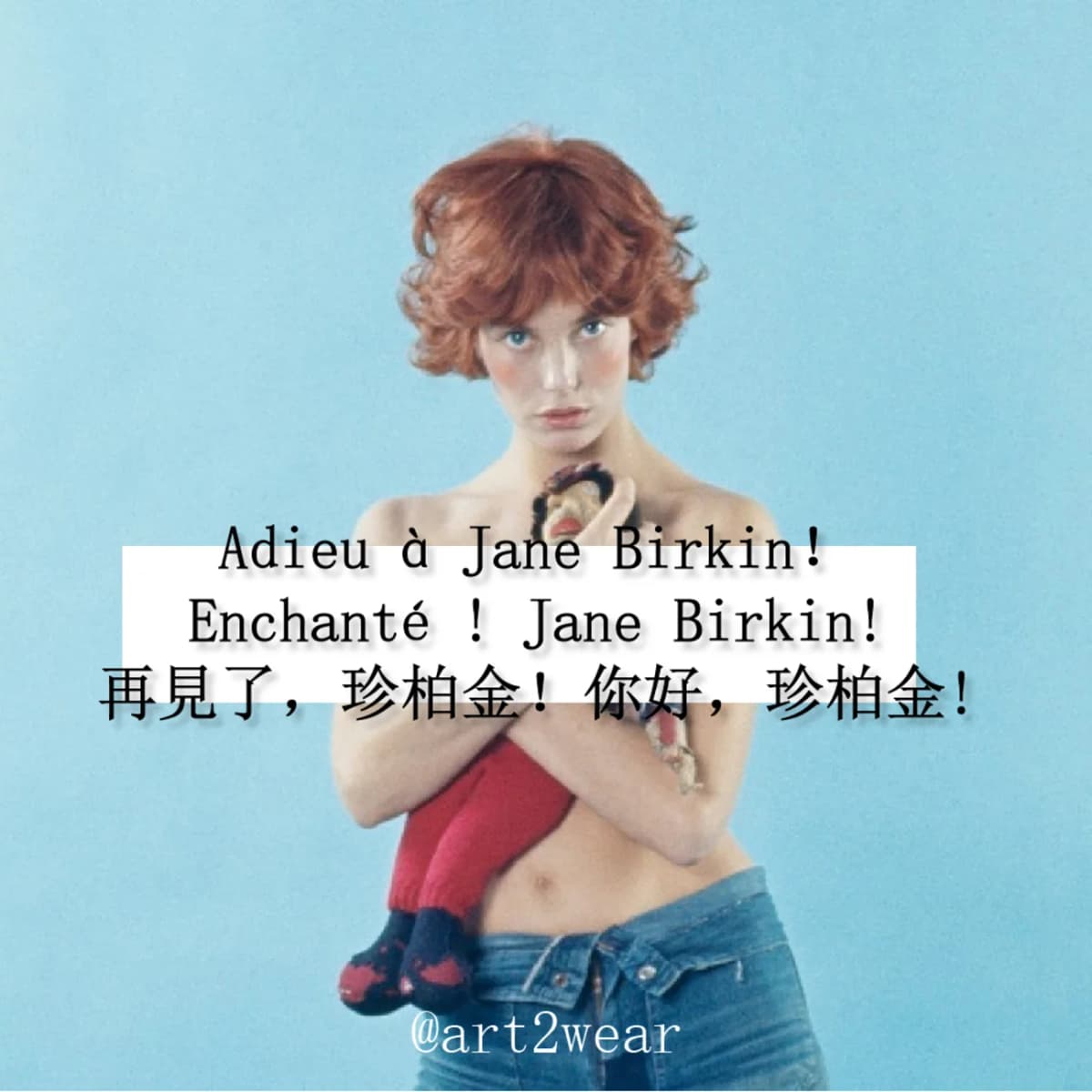 Adieu à Jane Birkin！再見了，珍柏金！